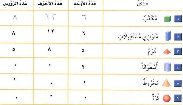 كم وجه وراس وحرف للمخروط إسألنا