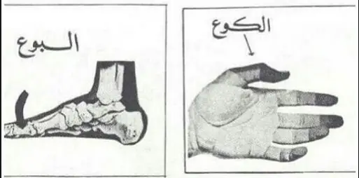 ماهوالبوع إسألنا