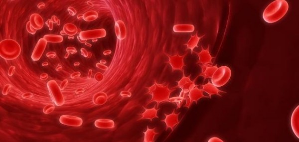 الحمراء أين ؟ خلايا الدم تنتج علوم الصف